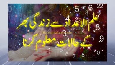 اعداد-سے-عمر-بھر-کے-حالات-معلوم-کرنا