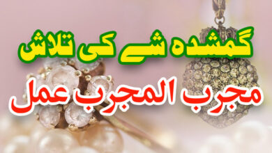 گمشدہ-شے-کی-تلاش